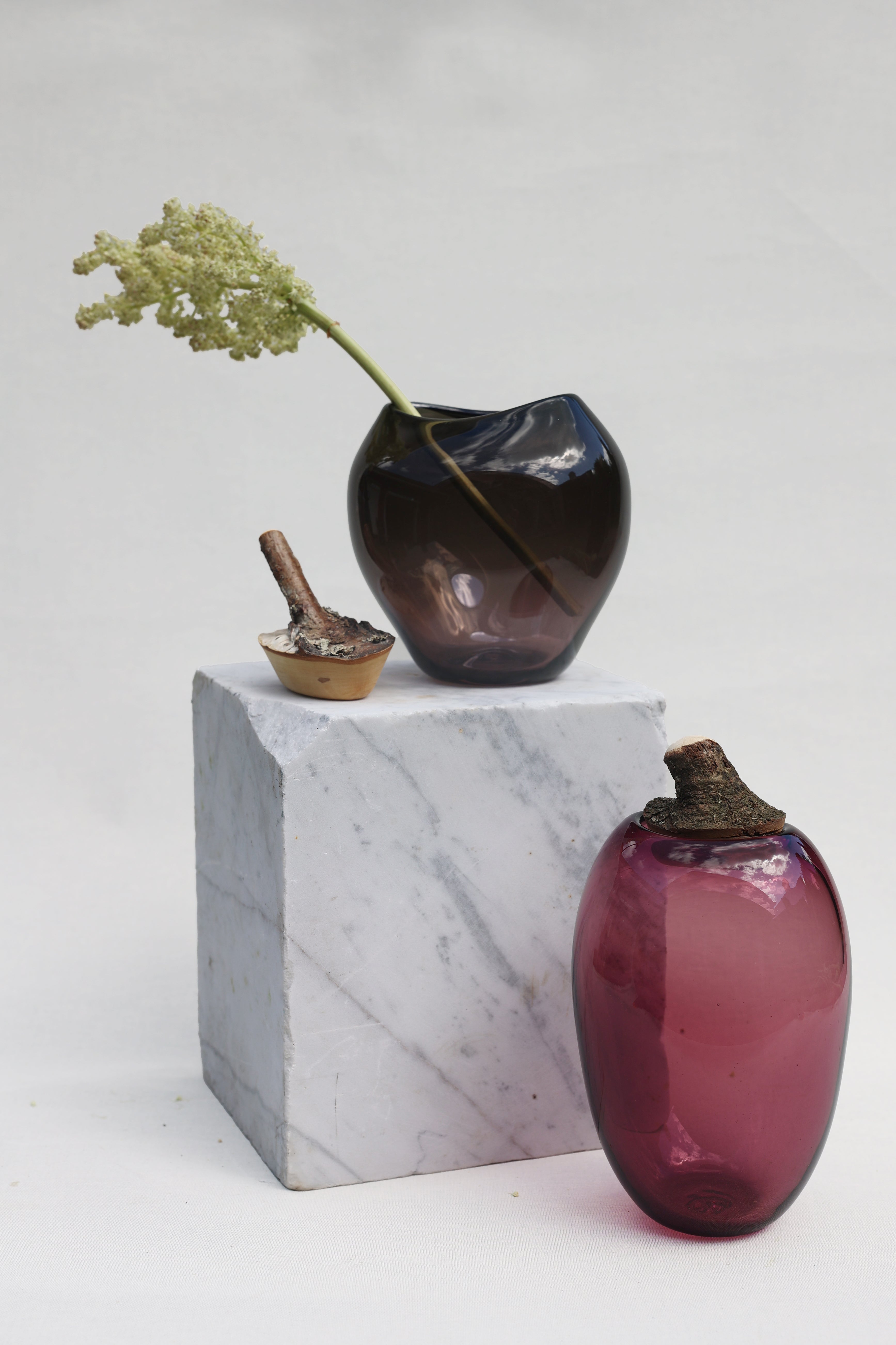 Branch Bowl | Sculptural Glass Bowl with Natural Wood Branch Lid
